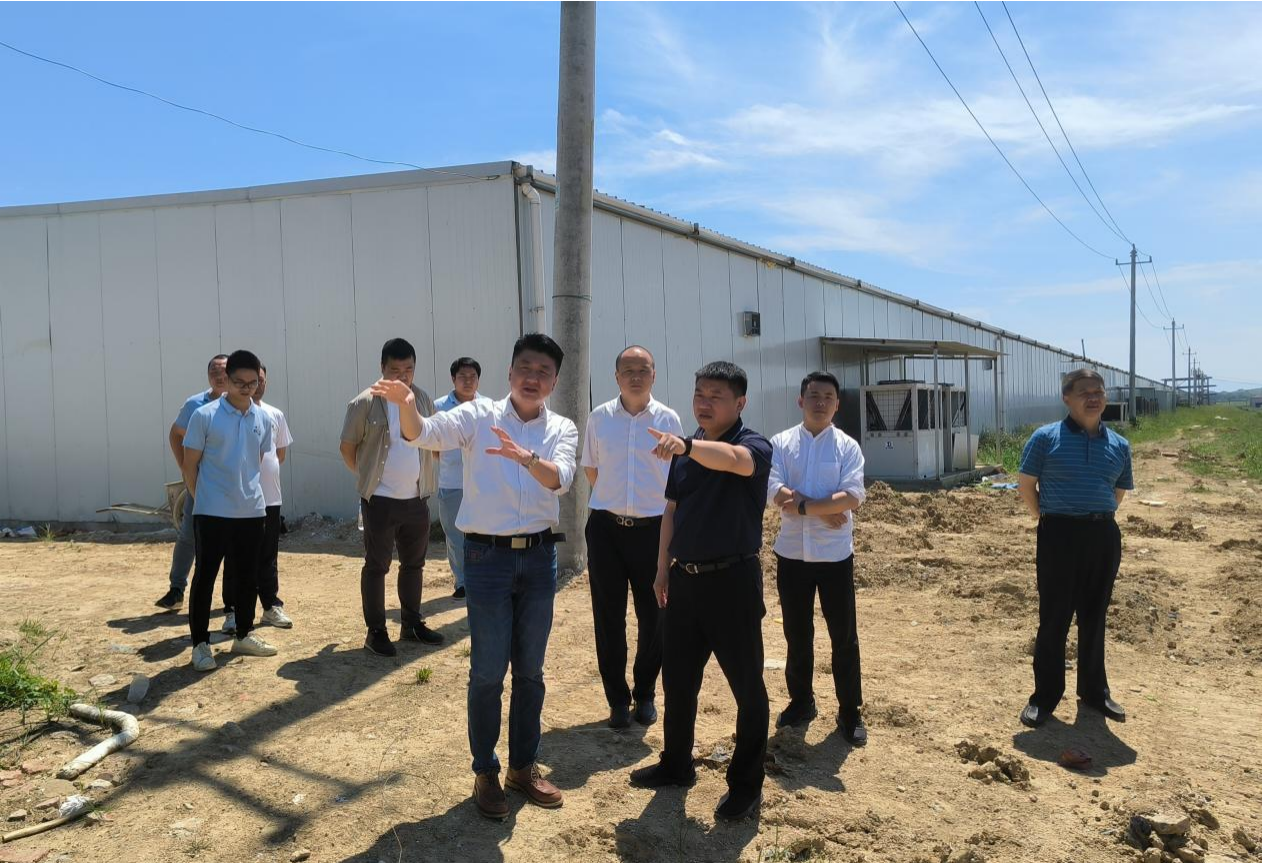 市國控集團黨委書記、董事長張志堅帶隊深入調(diào)研鄉(xiāng)村振興項目